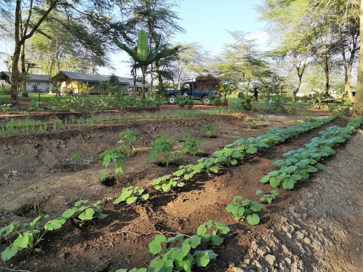 Africa Safari Camping Mto Wa Mbu Exterior foto