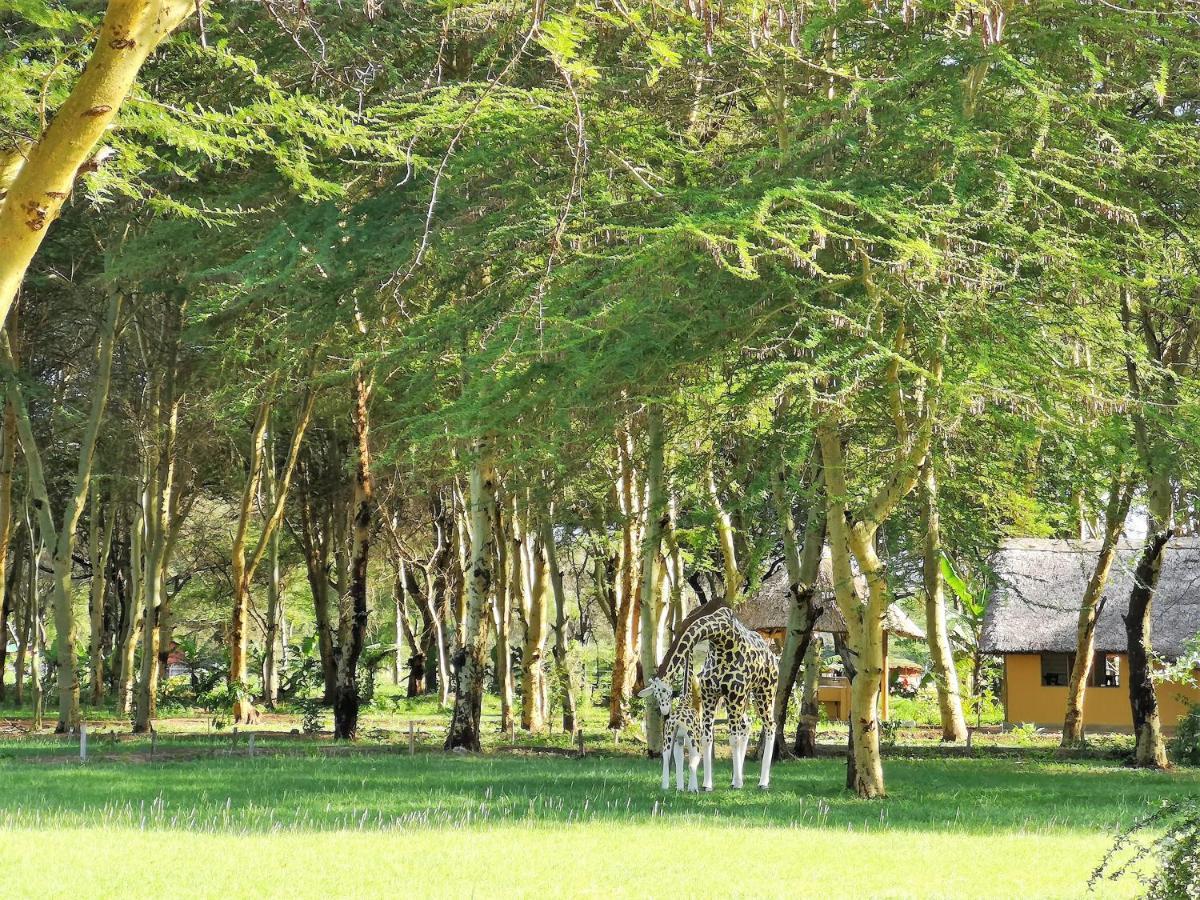 Africa Safari Camping Mto Wa Mbu Exterior foto